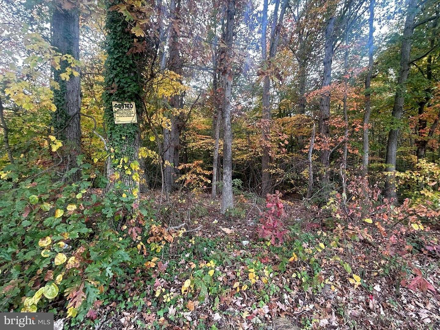 0.87 Acres of Land for Sale in Fort Washington, Maryland