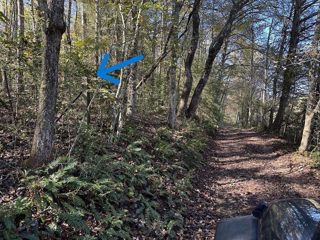 5.7 Acres of Land for Sale in Blue Ridge, Georgia