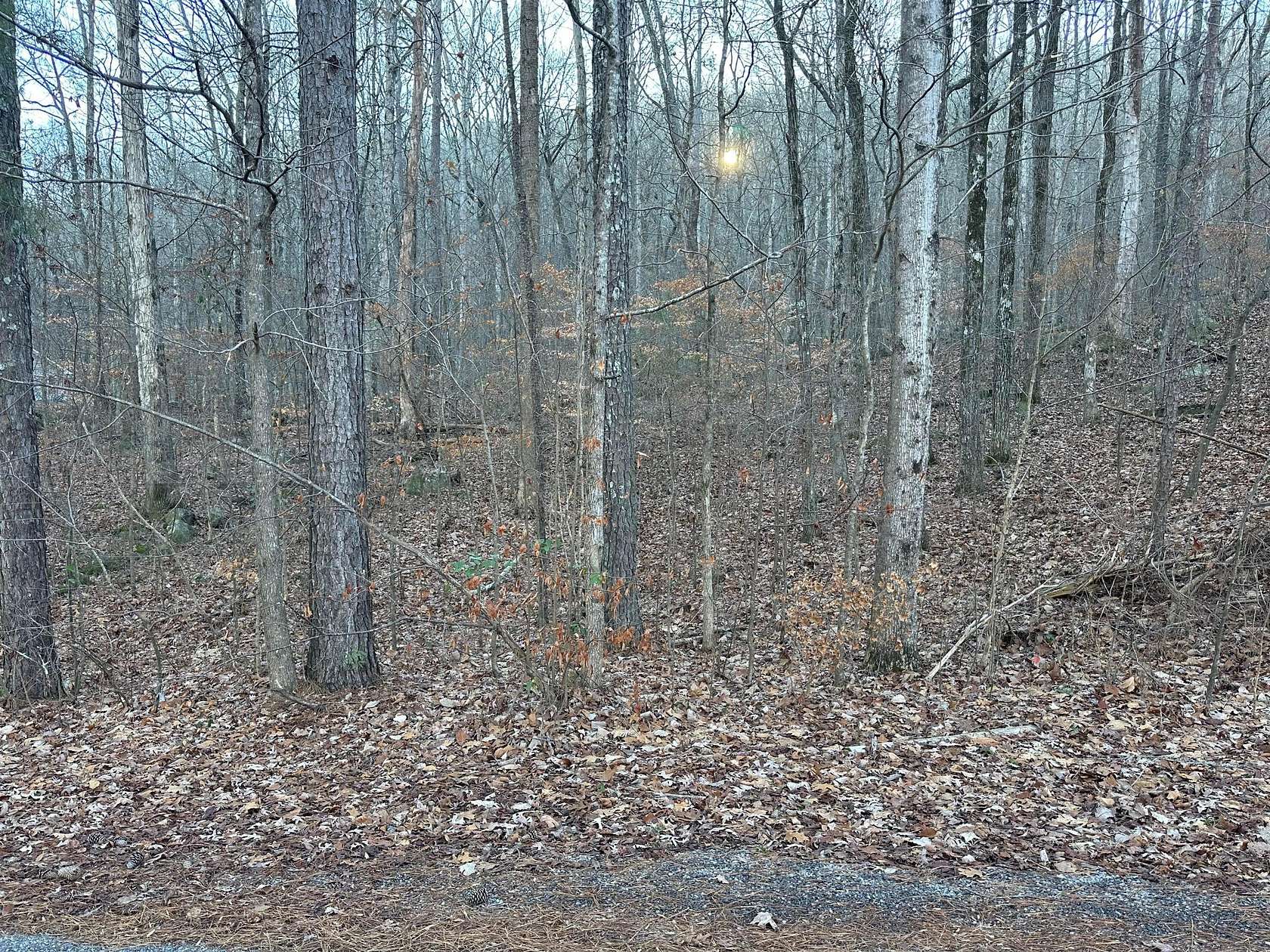 2.14 Acres of Residential Land for Sale in Warrior, Alabama