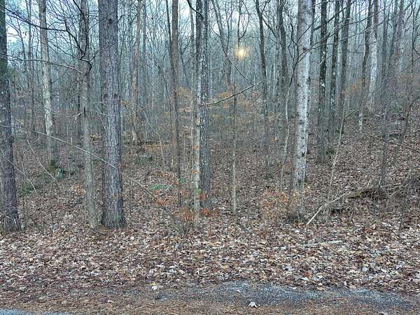 2.14 Acres of Residential Land for Sale in Warrior, Alabama