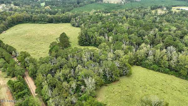202 Acres of Land for Sale in Prentiss, Mississippi