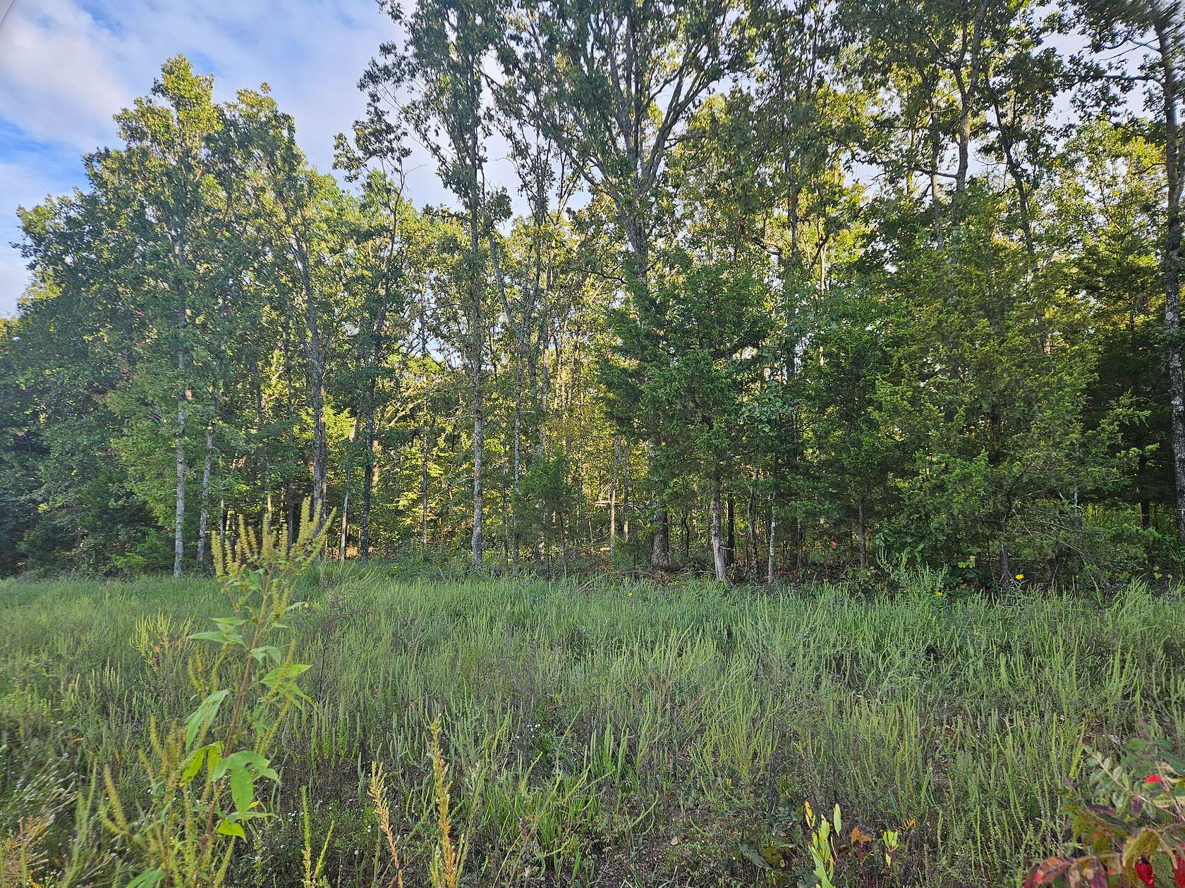 4.73 Acres of Agricultural Land for Sale in Dora, Missouri