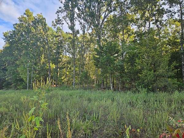 4.73 Acres of Agricultural Land for Sale in Dora, Missouri