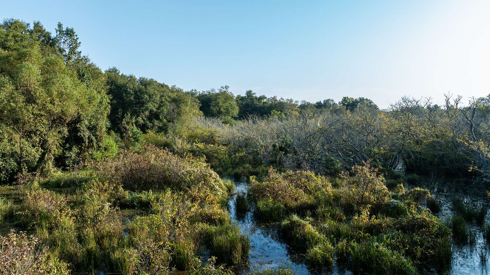 265 Acres of Land for Sale in Winona, Texas