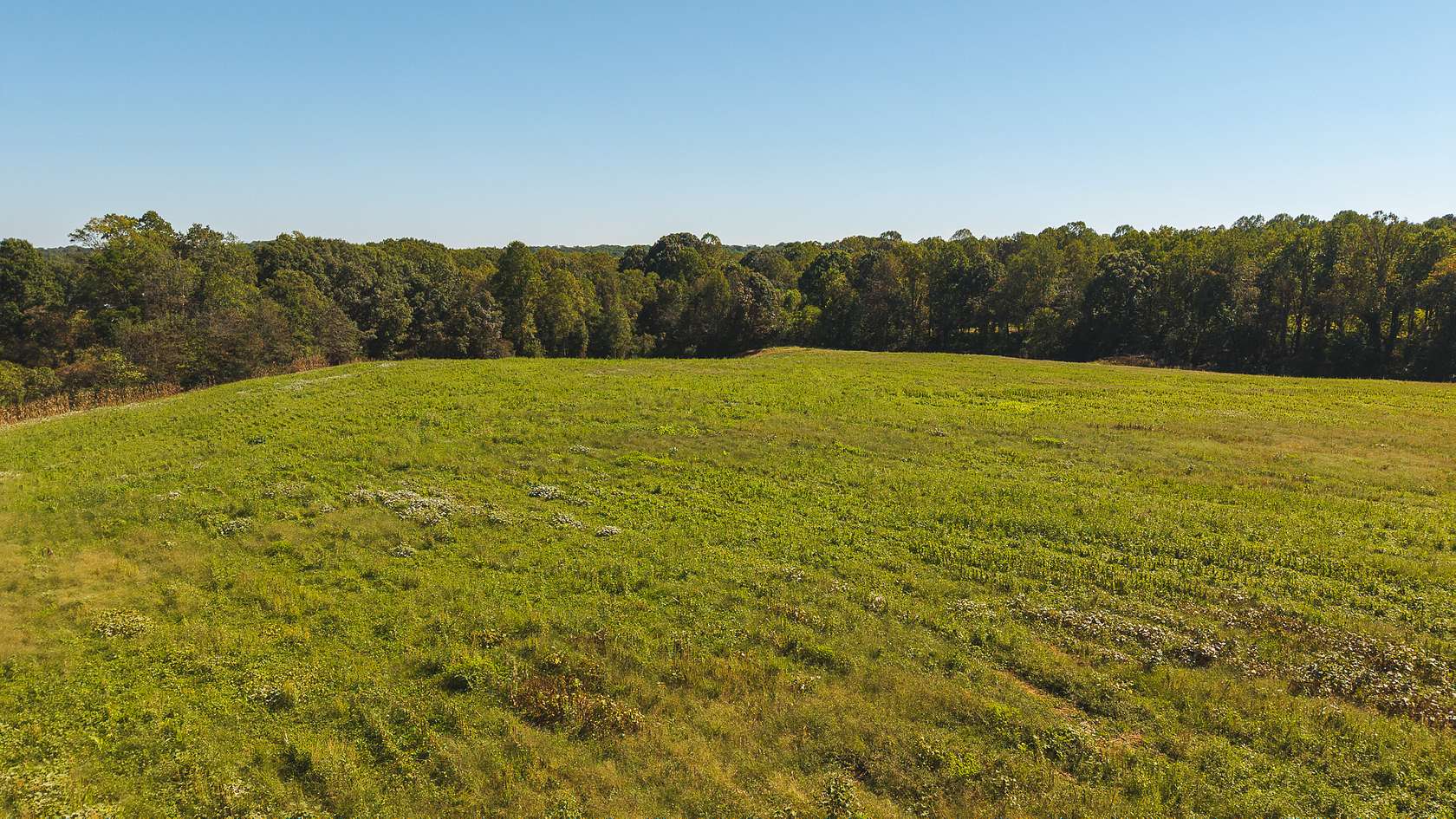 46 Acres of Land for Sale in Hamptonville, North Carolina