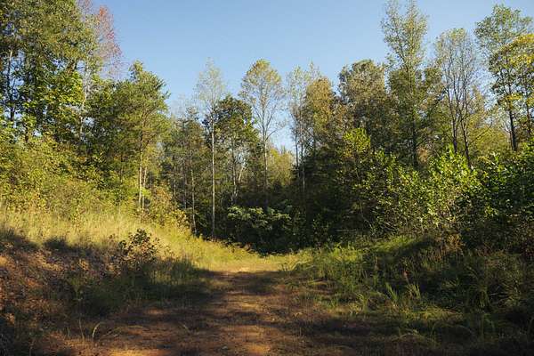 6.8 Acres of Residential Land for Sale in Waverly, Tennessee