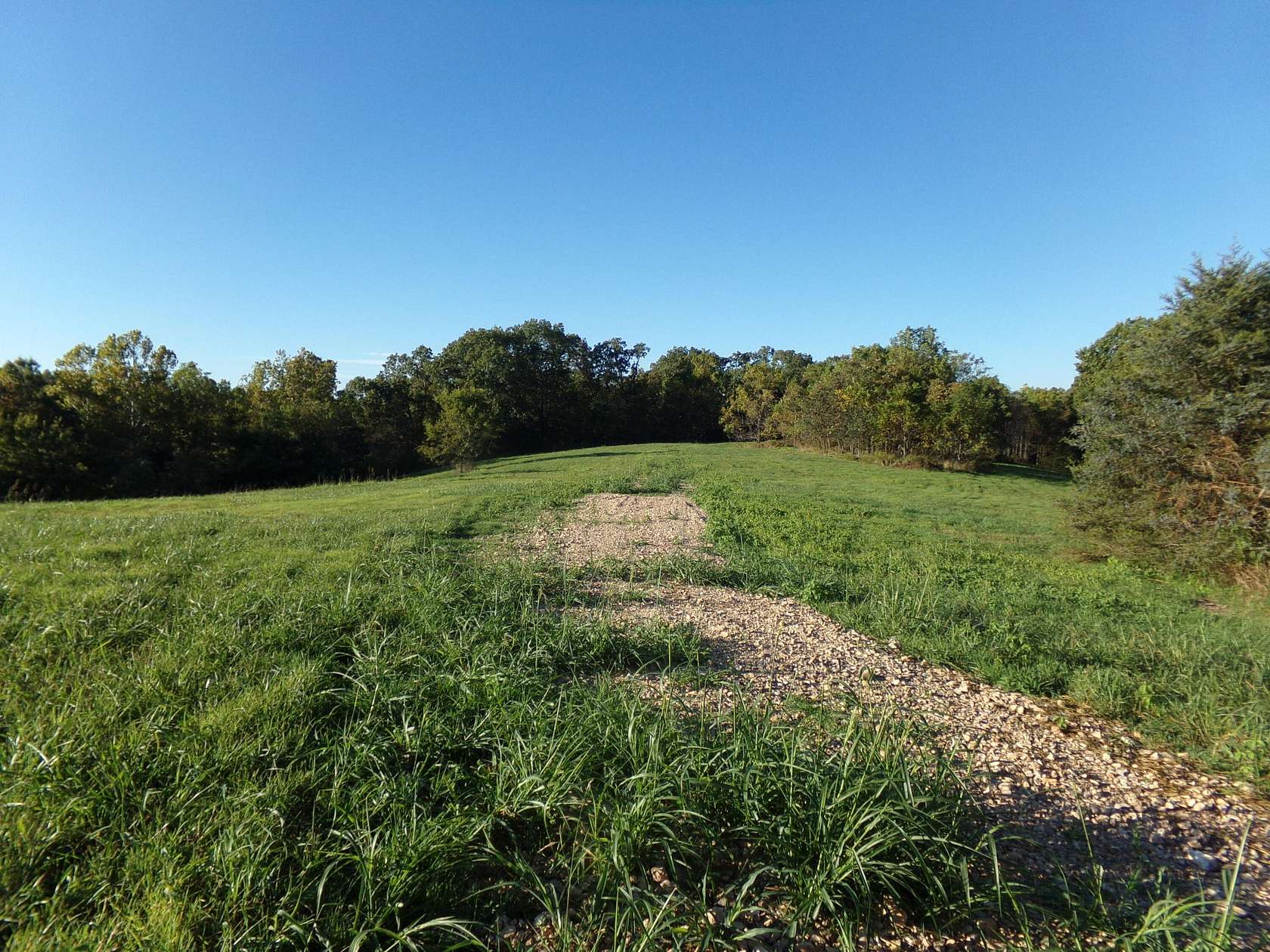 24.4 Acres of Agricultural Land for Sale in Pineville, Missouri