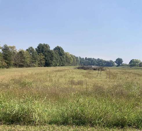 9 Acres of Residential Land for Sale in Piggott, Arkansas