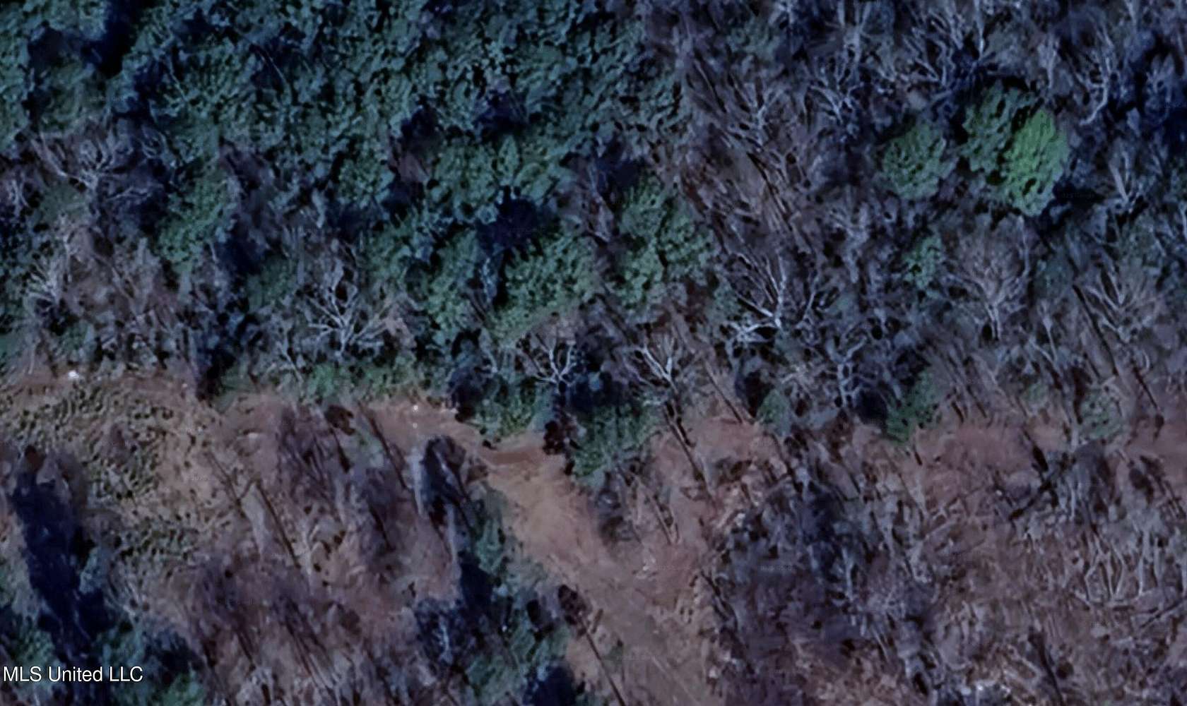 10 Acres of Land for Sale in Abbeville, Mississippi