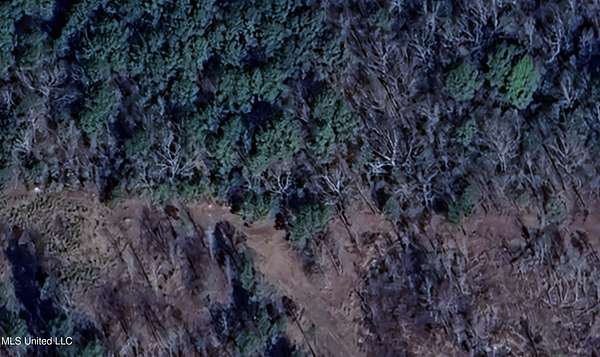 10 Acres of Land for Sale in Abbeville, Mississippi