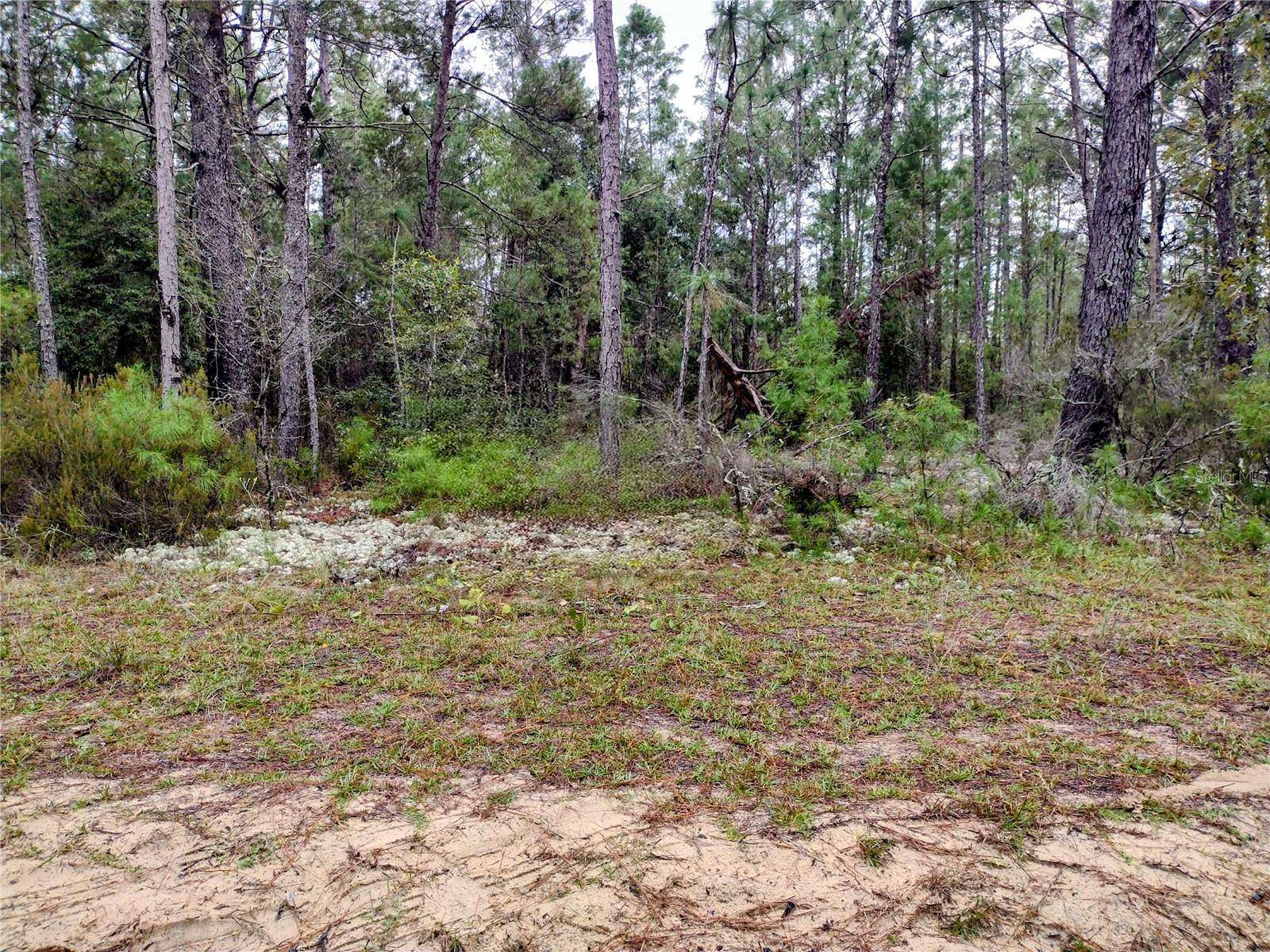 0.21 Acres of Residential Land for Sale in Interlachen, Florida