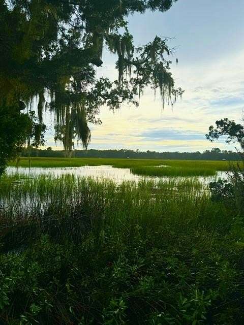 2.73 Acres of Residential Land for Sale in Darien, Georgia