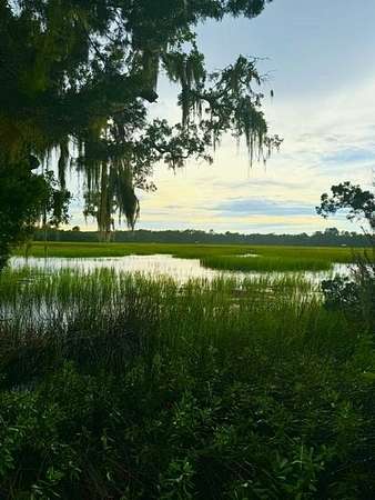 2.73 Acres of Residential Land for Sale in Darien, Georgia