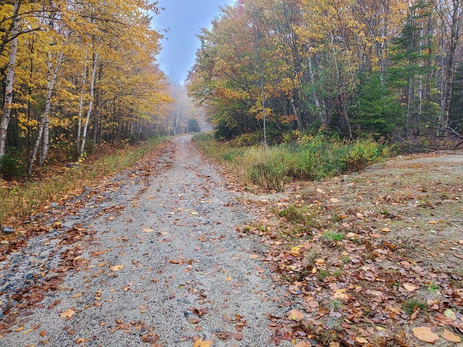 43.2 Acres of Recreational Land for Sale in Deblois, Maine