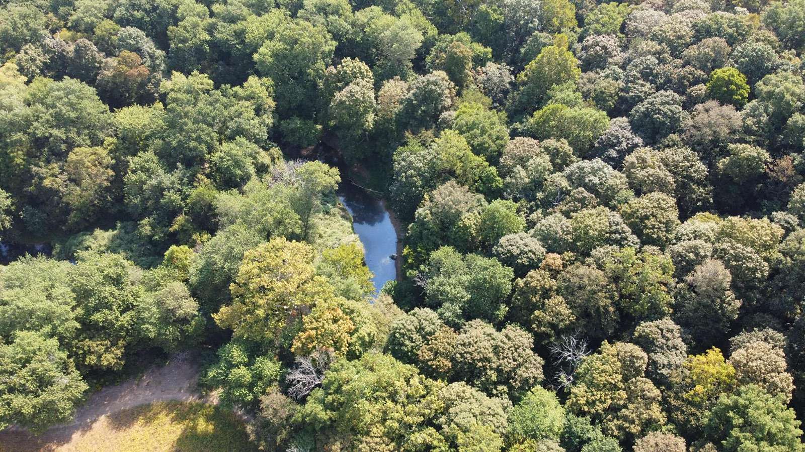 7.77 Acres of Residential Land for Sale in Fulda, Indiana