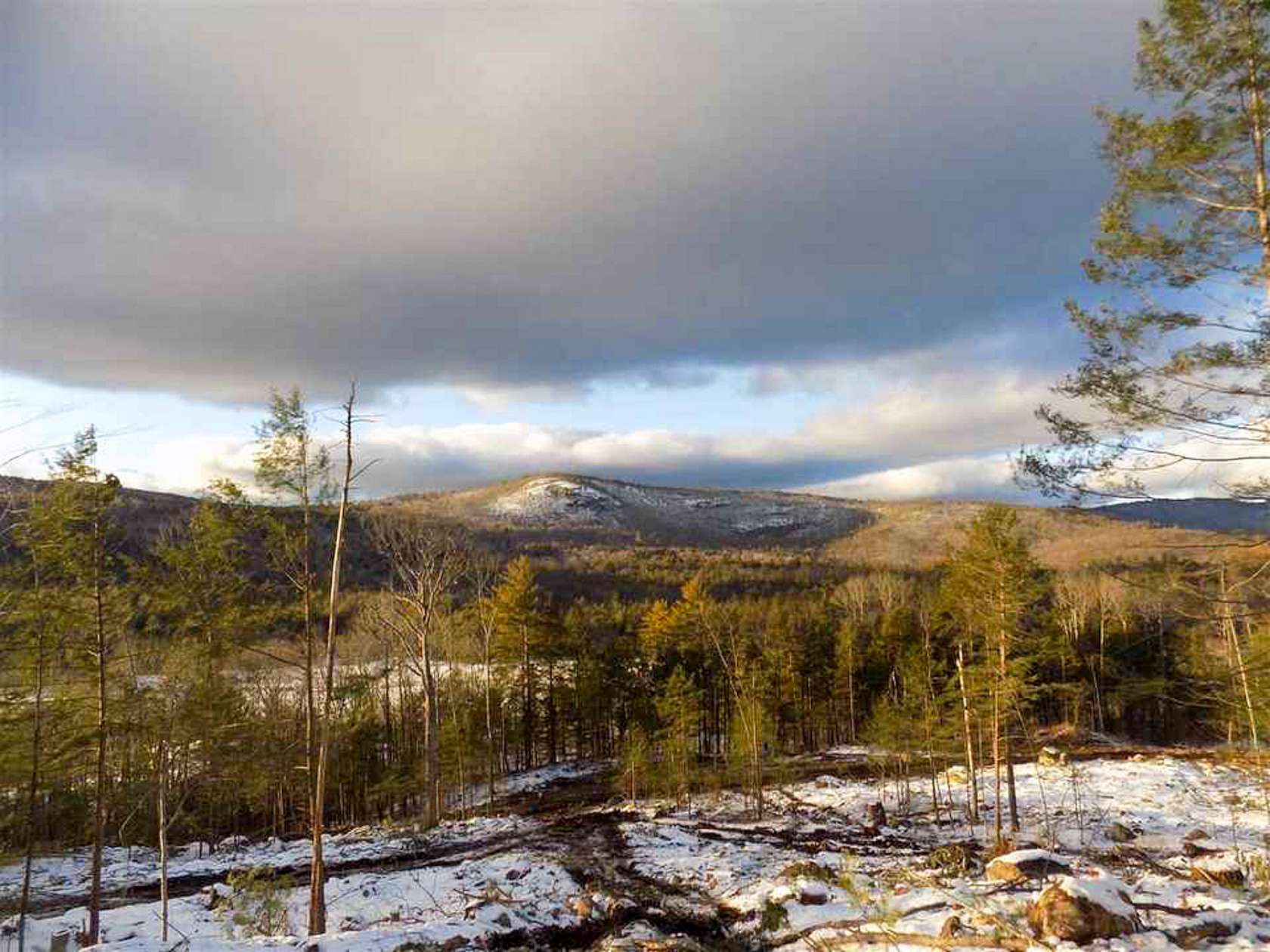 44.1 Acres of Recreational Land for Sale in Freedom, New Hampshire