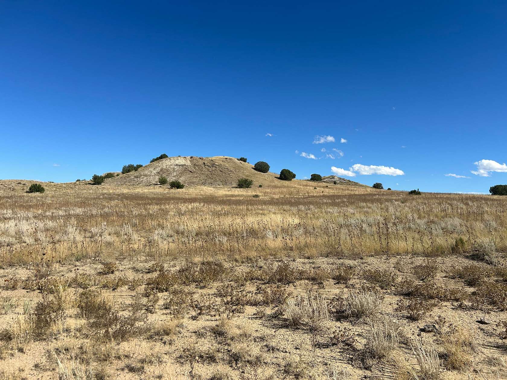40 Acres of Land for Sale in Delhi, Colorado