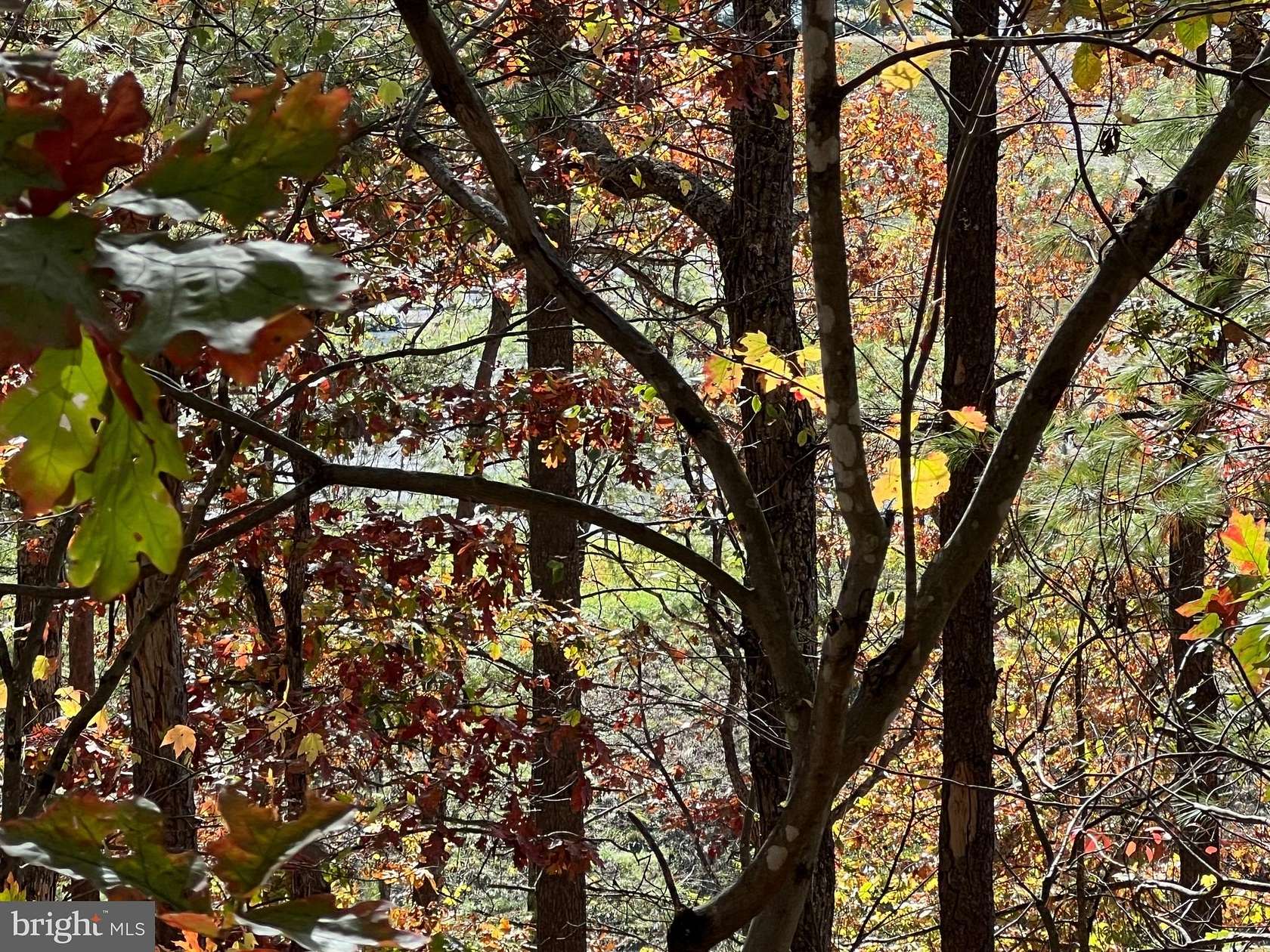 0.31 Acres of Land for Sale in Basye, Virginia