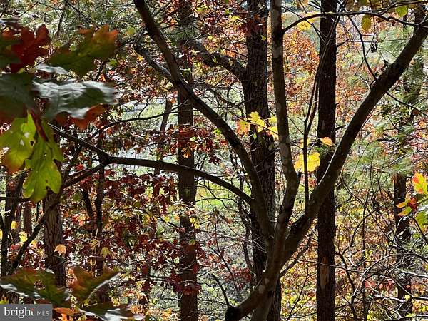 0.31 Acres of Land for Sale in Basye, Virginia