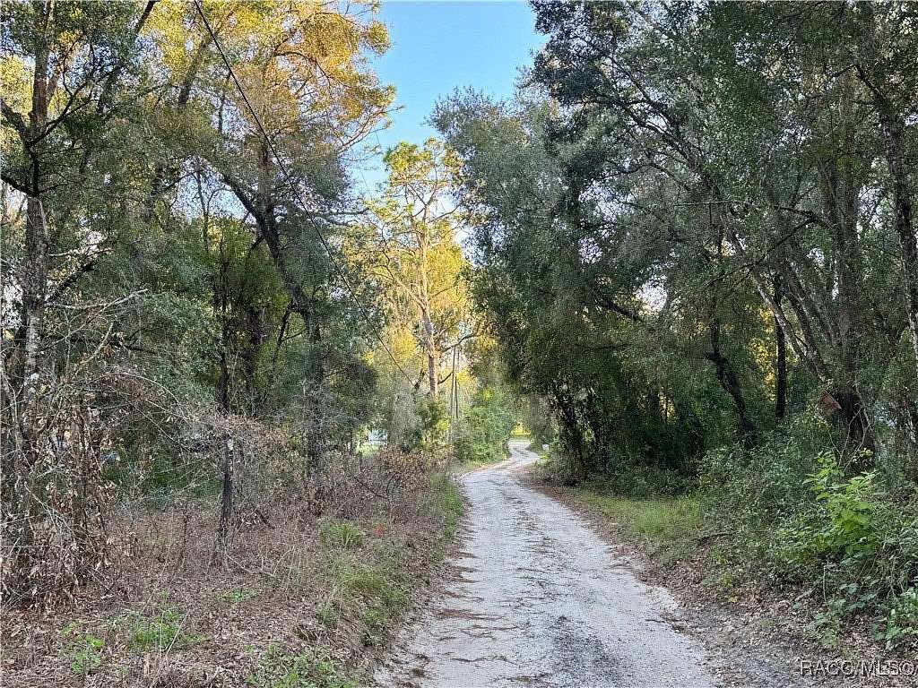 0.54 Acres of Residential Land for Sale in Floral City, Florida