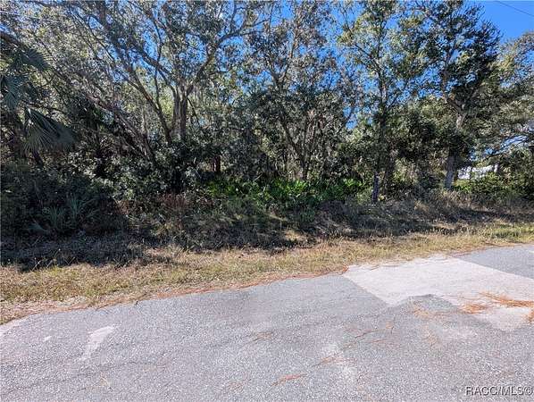 1.25 Acres of Residential Land for Sale in Crystal River, Florida