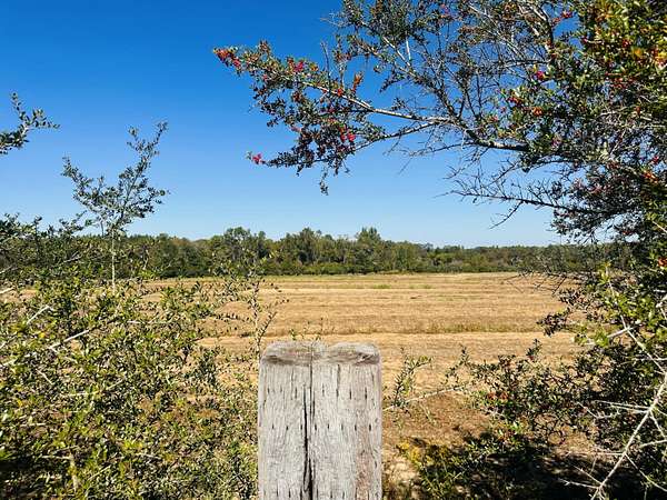 3 Acres of Residential Land for Sale in Bonifay, Florida