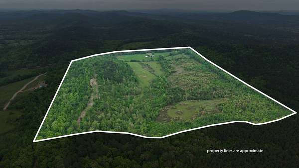 10 Acres of Residential Land for Sale in Oden, Arkansas