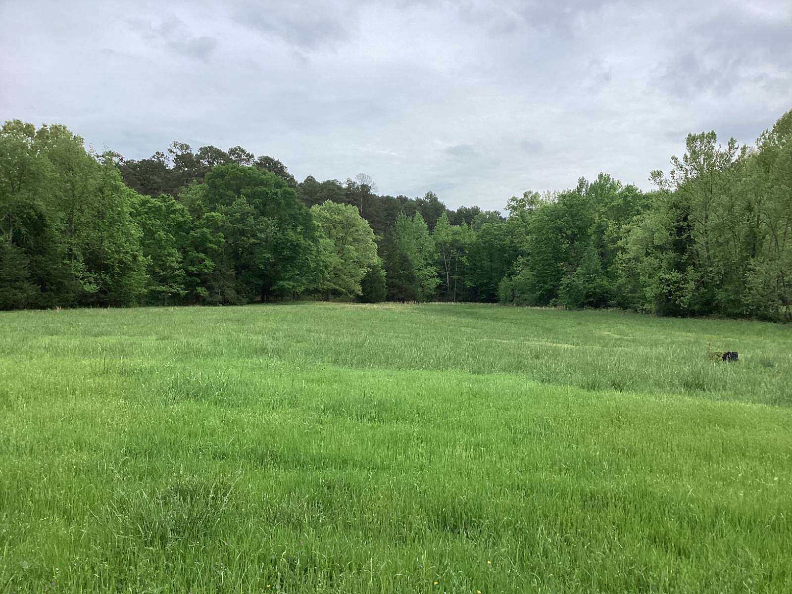 10 Acres of Land for Sale in Oden, Arkansas