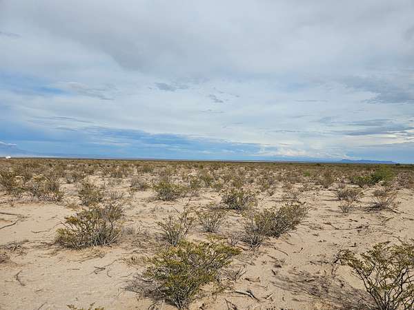 20.1 Acres of Recreational Land for Sale in Dell City, Texas