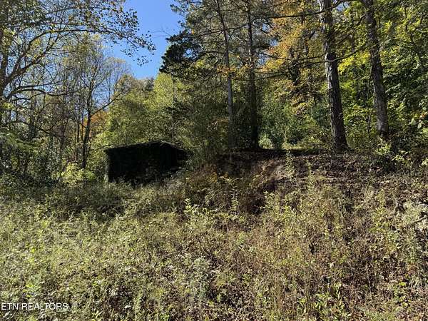 6.25 Acres of Land for Sale in La Follette, Tennessee