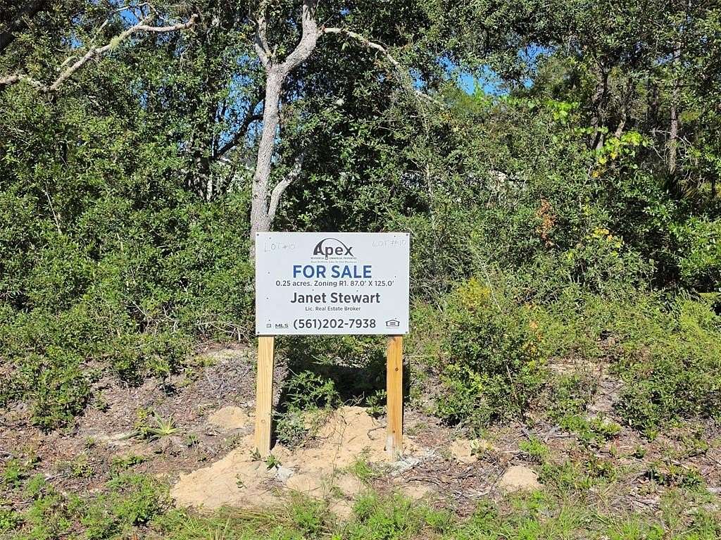 0.25 Acres of Residential Land for Sale in Ocklawaha, Florida