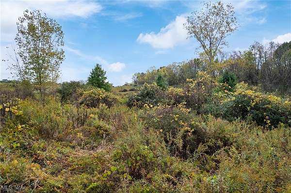 5.39 Acres of Mixed-Use Land for Sale in Wooster, Ohio