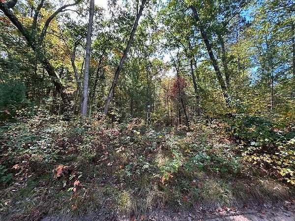 10.6 Acres of Land for Sale in Montague, Michigan