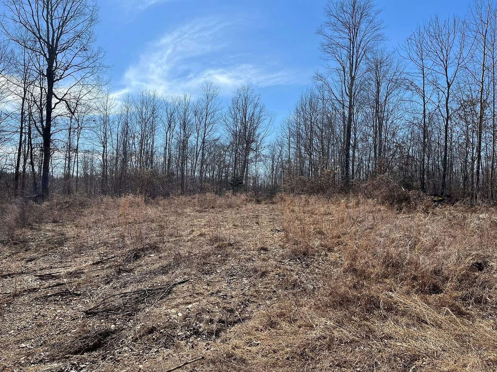 75 Acres of Recreational Land for Sale in Beattyville, Kentucky