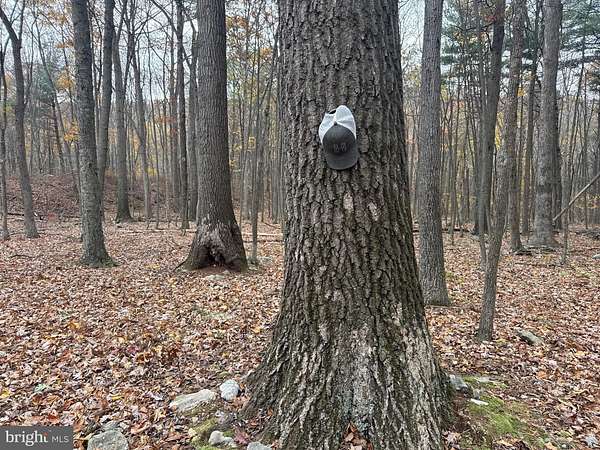 13.5 Acres of Recreational Land for Auction in Robertsdale, Pennsylvania