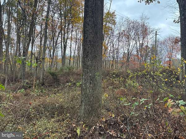 13.5 Acres of Recreational Land for Auction in Robertsdale, Pennsylvania