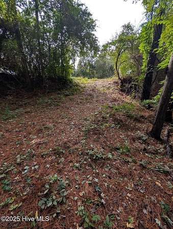 5 Acres of Land for Sale in Trenton, North Carolina