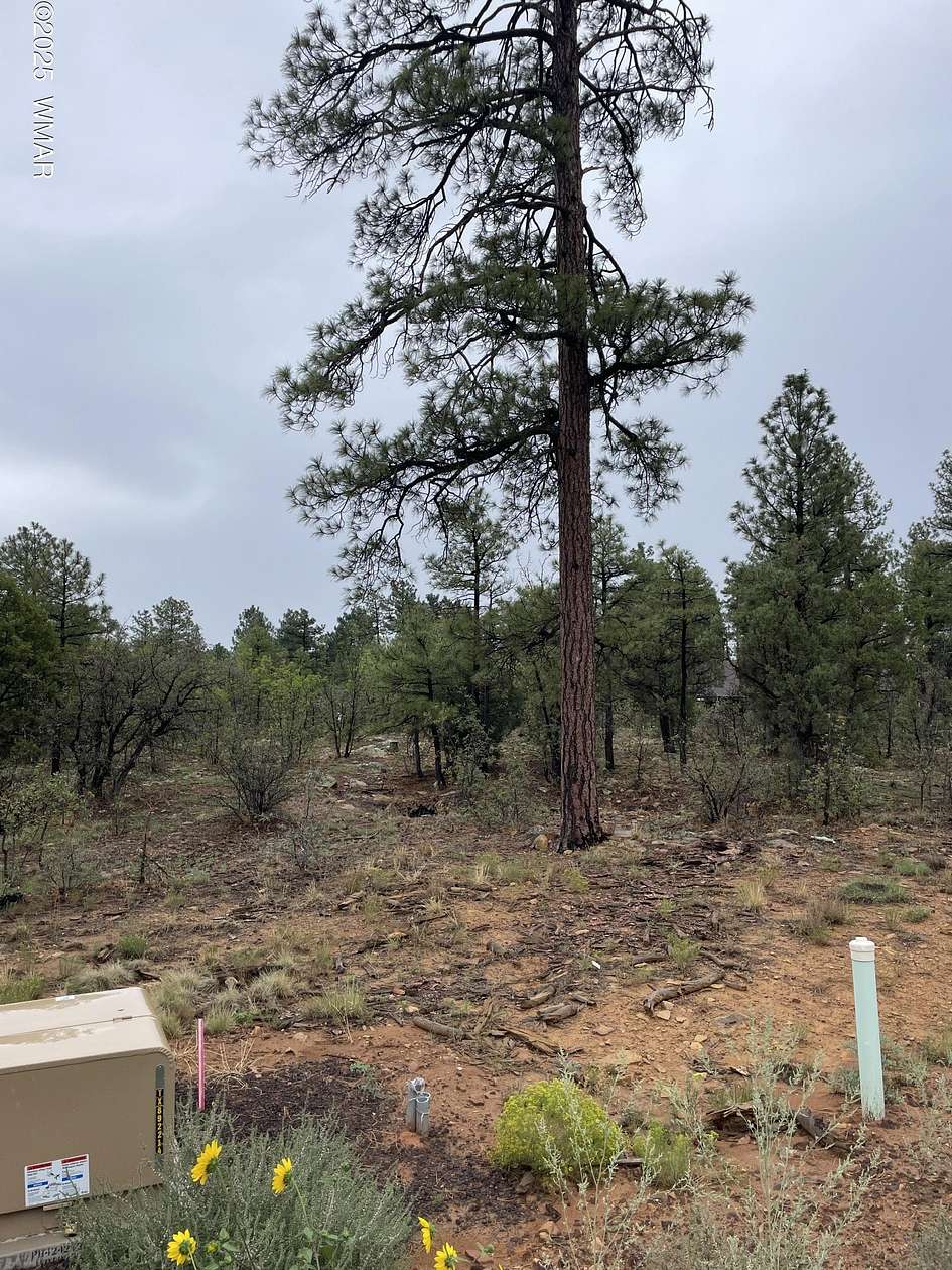 0.22 Acres of Residential Land for Sale in Show Low, Arizona