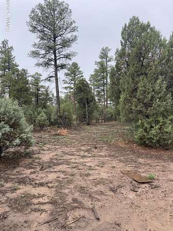 0.21 Acres of Residential Land for Sale in Show Low, Arizona