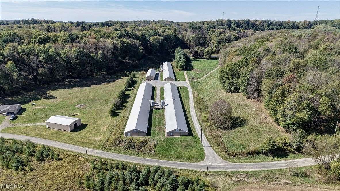 11.8 Acres of Land for Auction in Minerva, Ohio