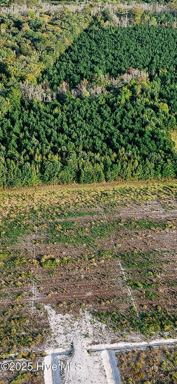 11.7 Acres of Land for Sale in Hertford, North Carolina