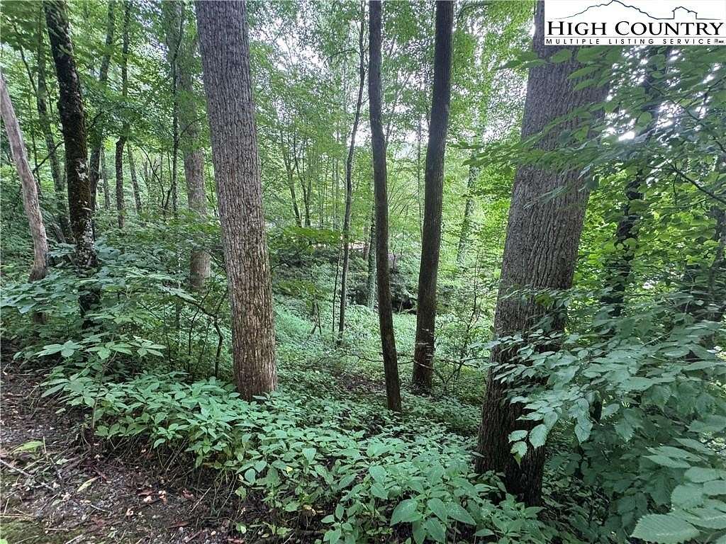 0.35 Acres of Land for Sale in Banner Elk, North Carolina