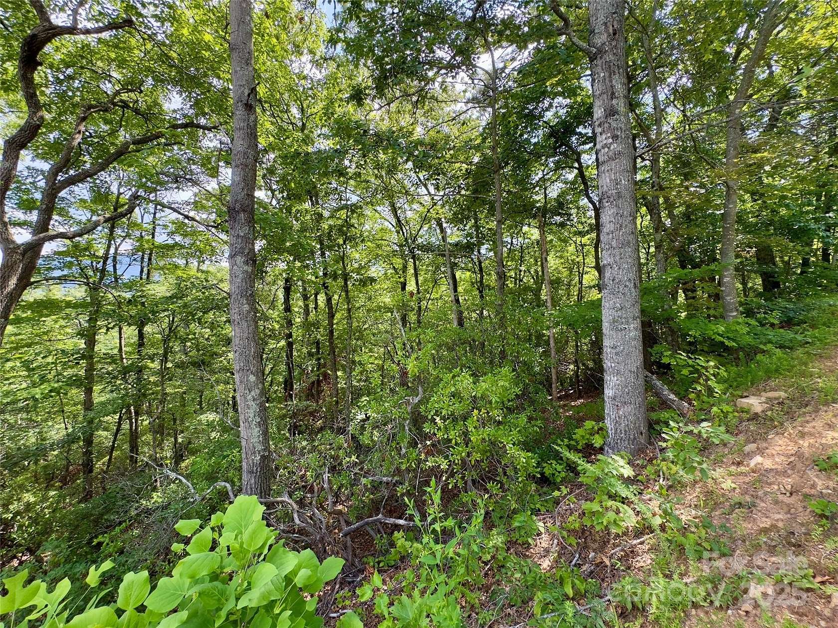 2.58 Acres of Residential Land for Sale in Black Mountain, North Carolina