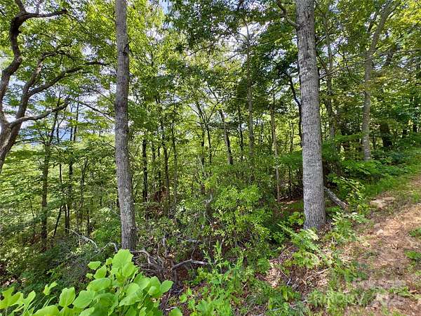 2.58 Acres of Residential Land for Sale in Black Mountain, North Carolina