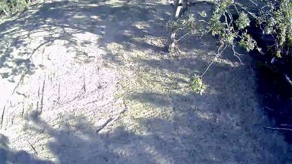 5.78 Acres of Residential Land for Sale in Huntsville, Arkansas