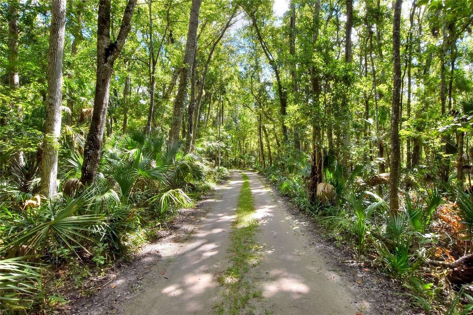 40.2 Acres of Recreational Land for Sale in Weeki Wachee, Florida