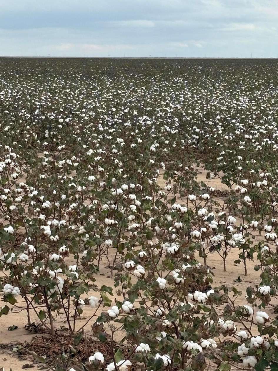 653 Acres of Land for Sale in Canyon, Texas