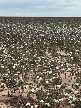 653 Acres of Land for Sale in Canyon, Texas