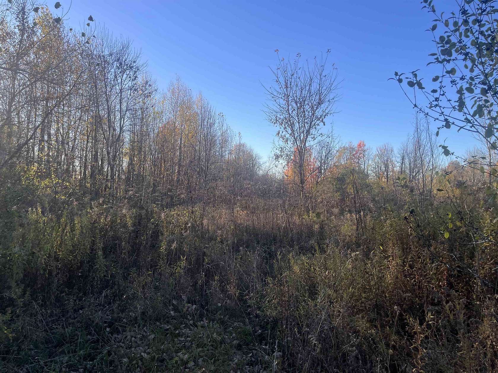 1.7 Acres of Residential Land for Sale in Brasher Falls, New York