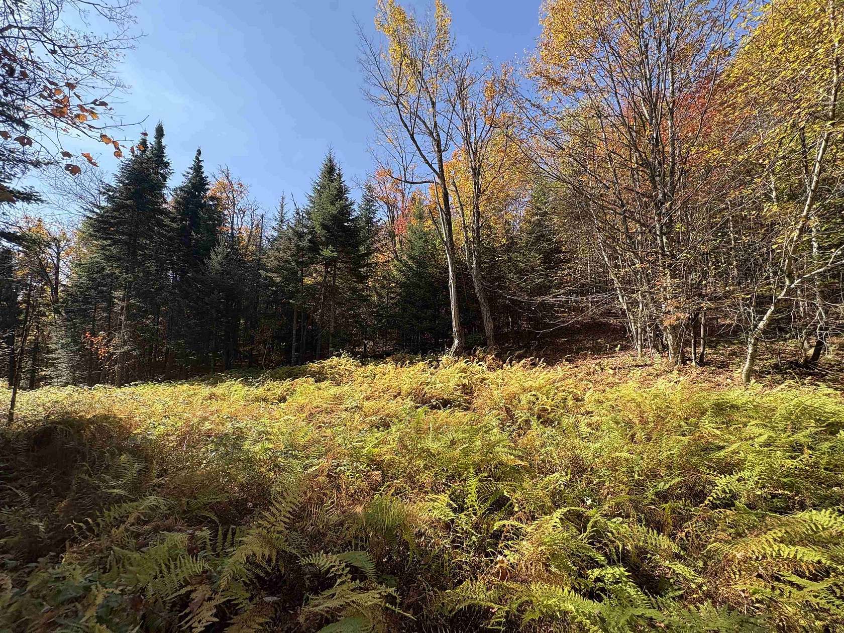 1.3 Acres of Land for Sale in Newark Town, Vermont